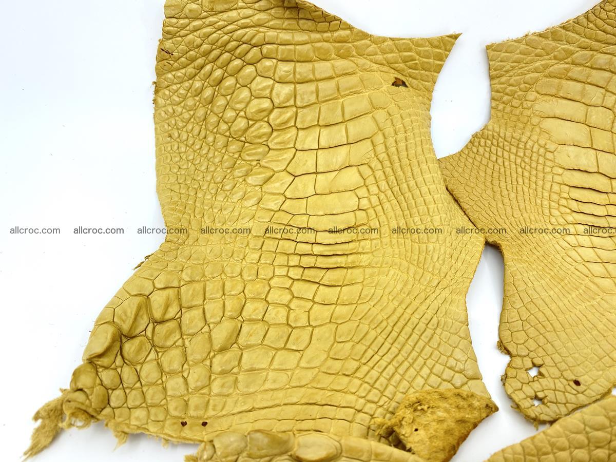 Crocodile leather for handcrafting  830 Foto 1