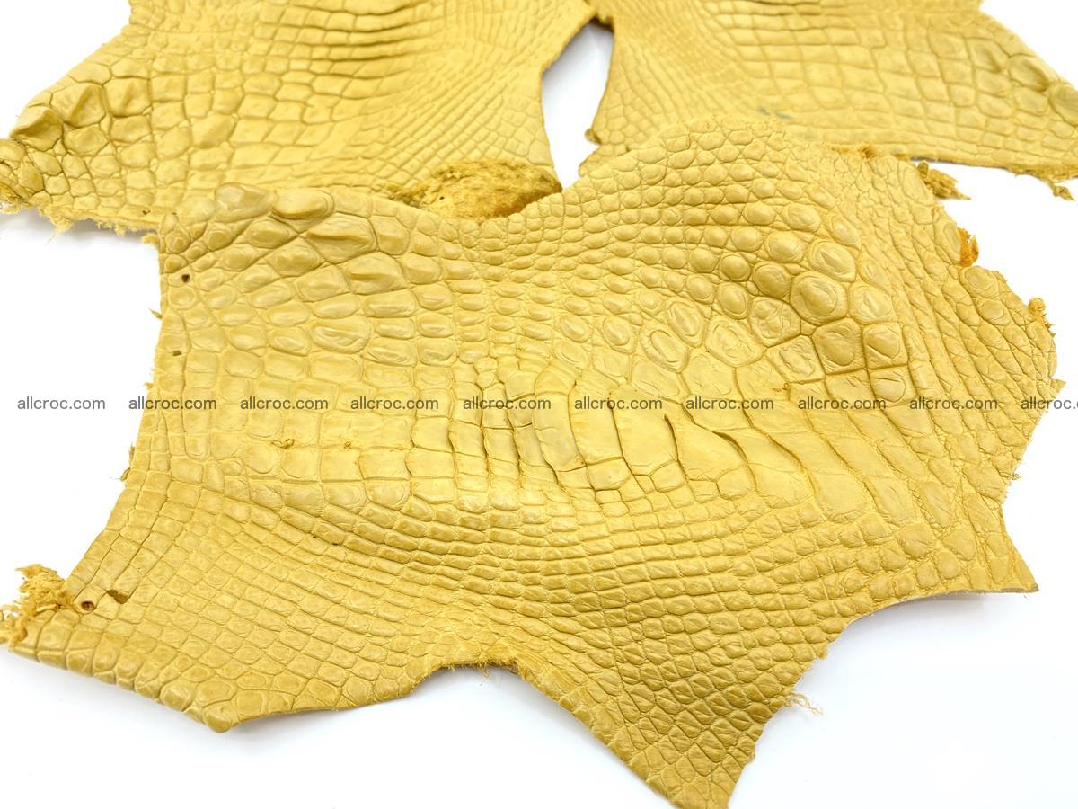 Crocodile leather for handcrafting  830 Foto 3