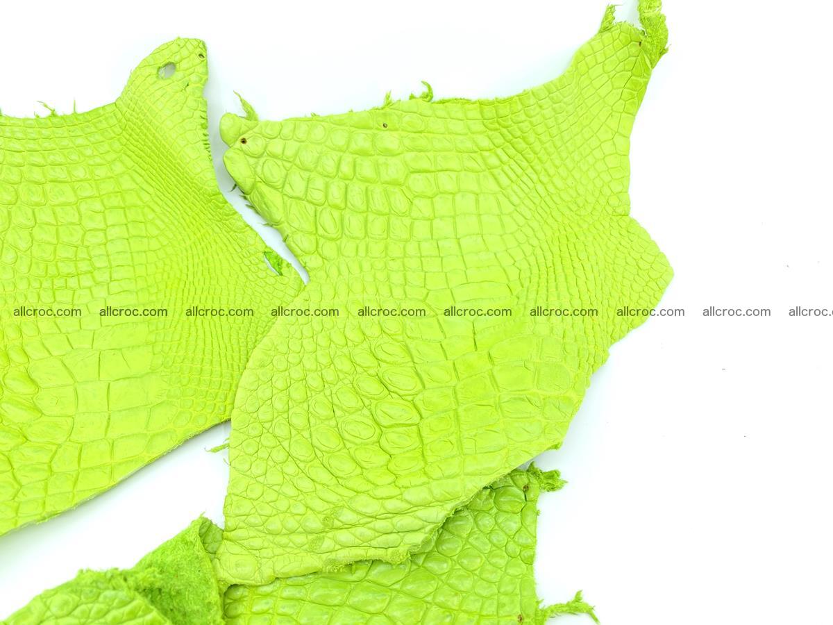 Crocodile leather for handcrafting  828 Foto 1