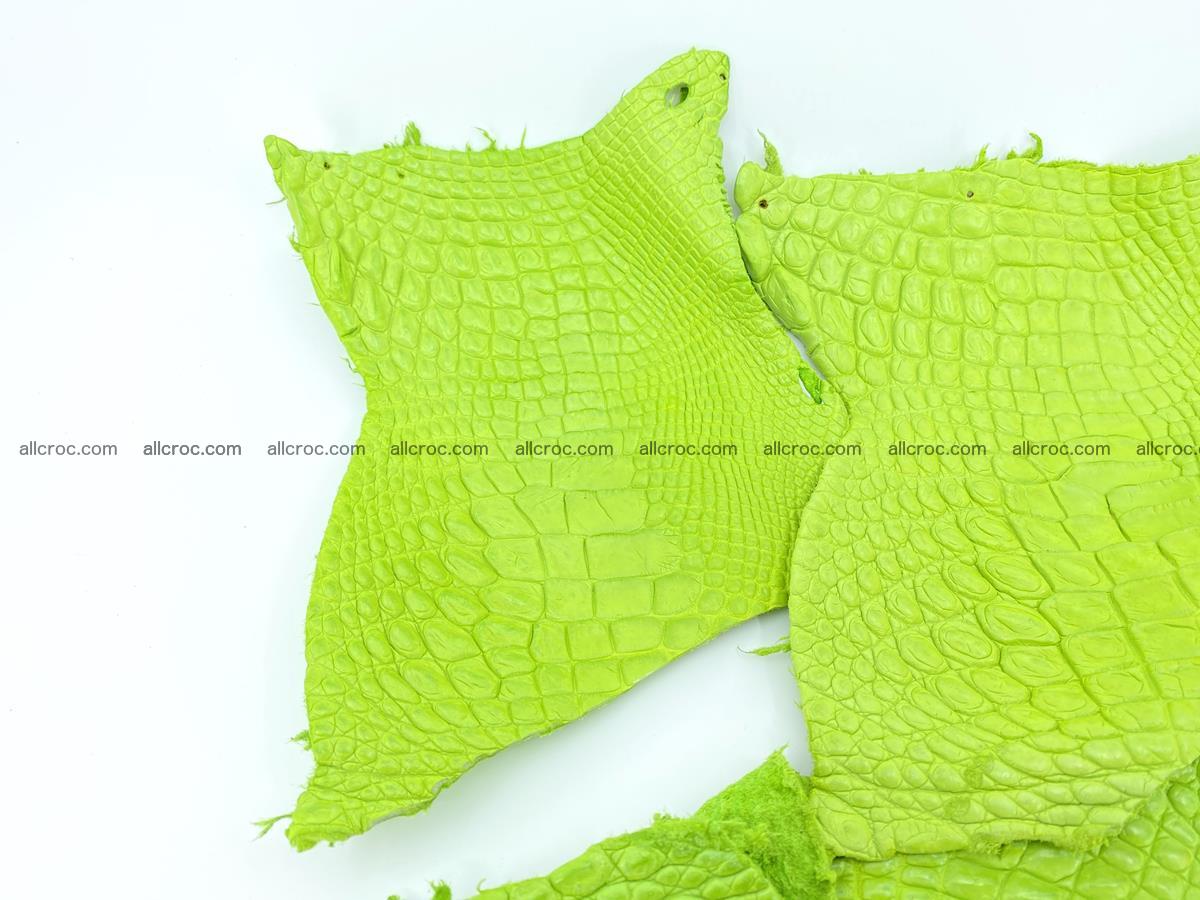 Crocodile leather for handcrafting  828 Foto 2