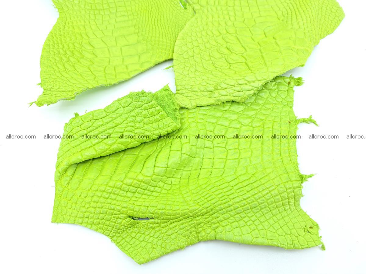 Crocodile leather for handcrafting  828 Foto 3