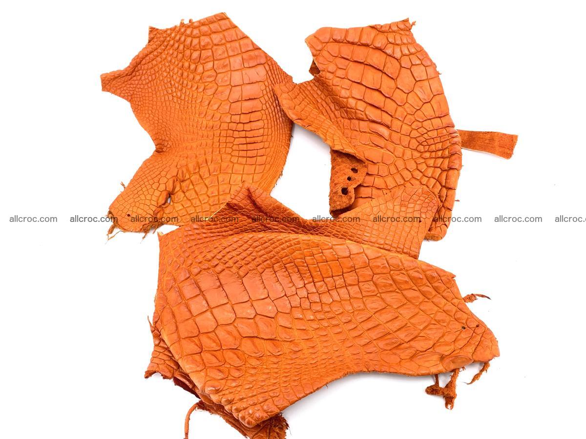 Crocodile leather for handcrafting  831 Foto 0
