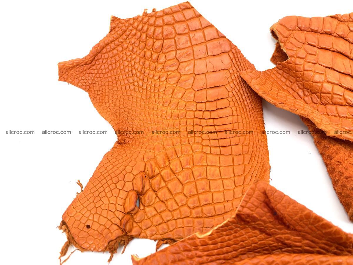 Crocodile leather for handcrafting  831 Foto 1