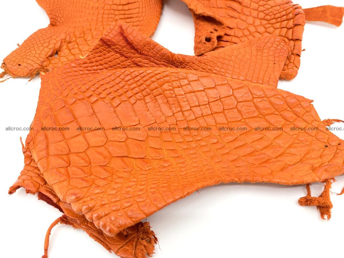 Crocodile leather for handcrafting  831 Foto 3