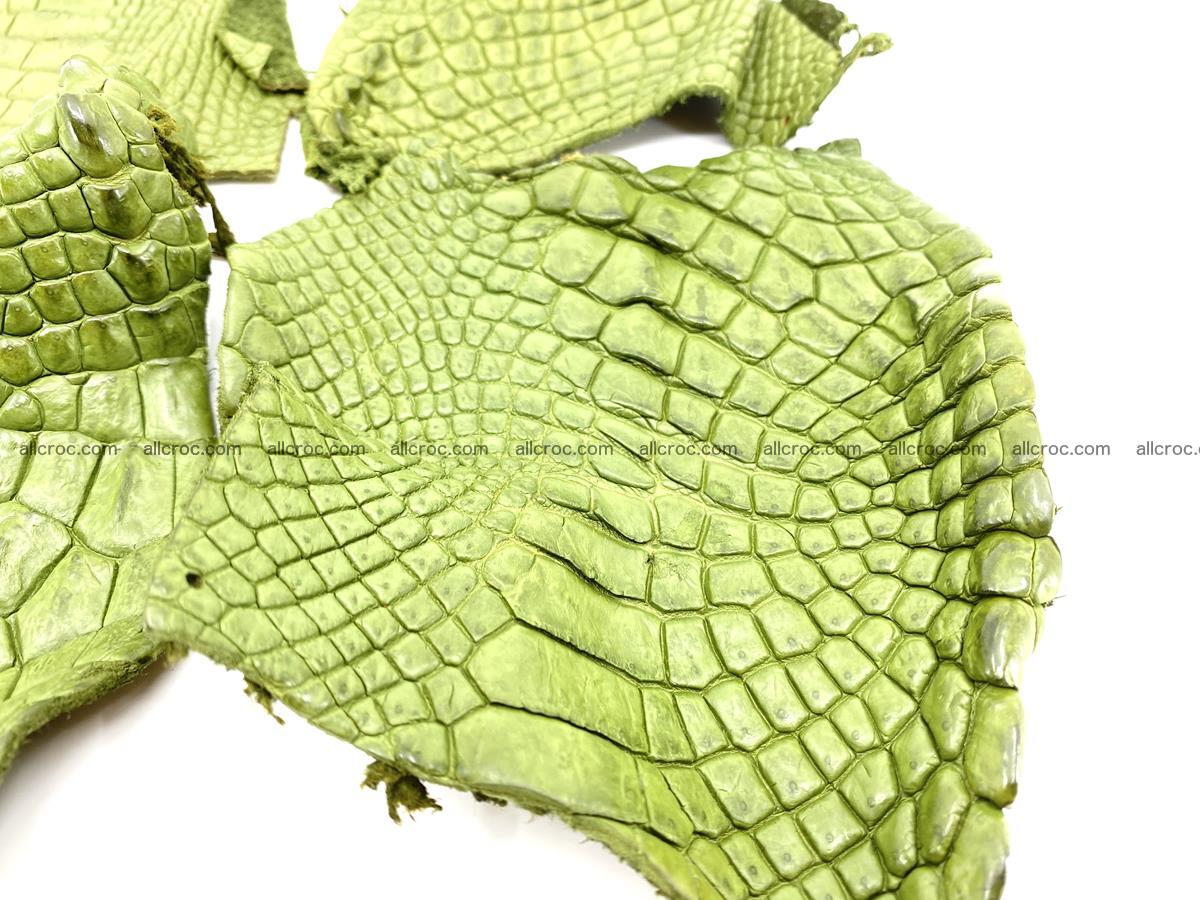 Crocodile leather for handcrafting  823 Foto 1
