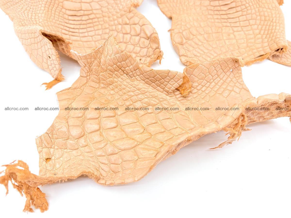 Crocodile leather for handcrafting  839 Foto 2
