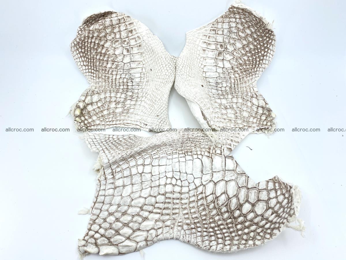Crocodile leather for handcrafting  834 Foto 0