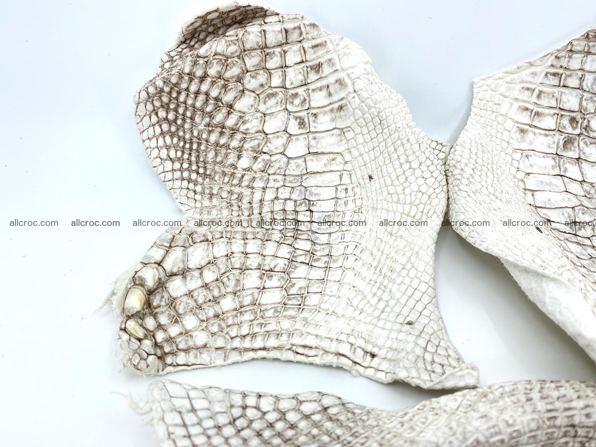 Crocodile leather for handcrafting  834 Foto 1
