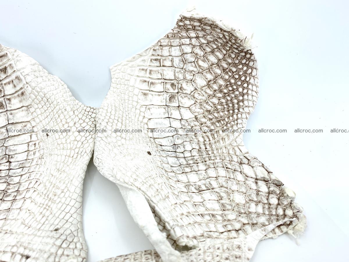 Crocodile leather for handcrafting  834 Foto 3
