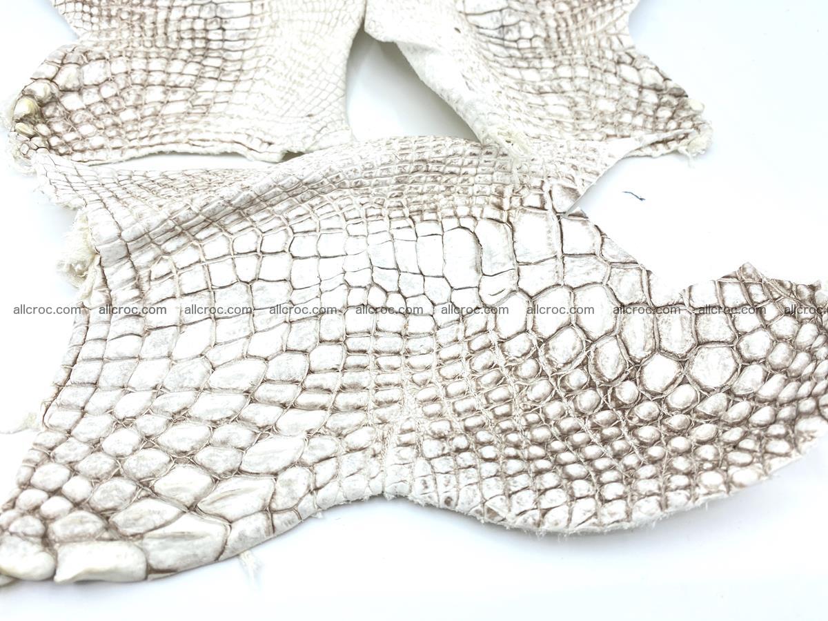 Crocodile leather for handcrafting  834 Foto 2