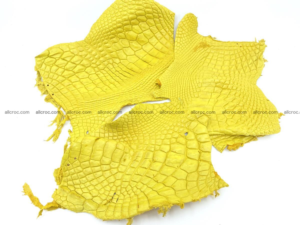 Crocodile leather for handcrafting  826 Foto 0
