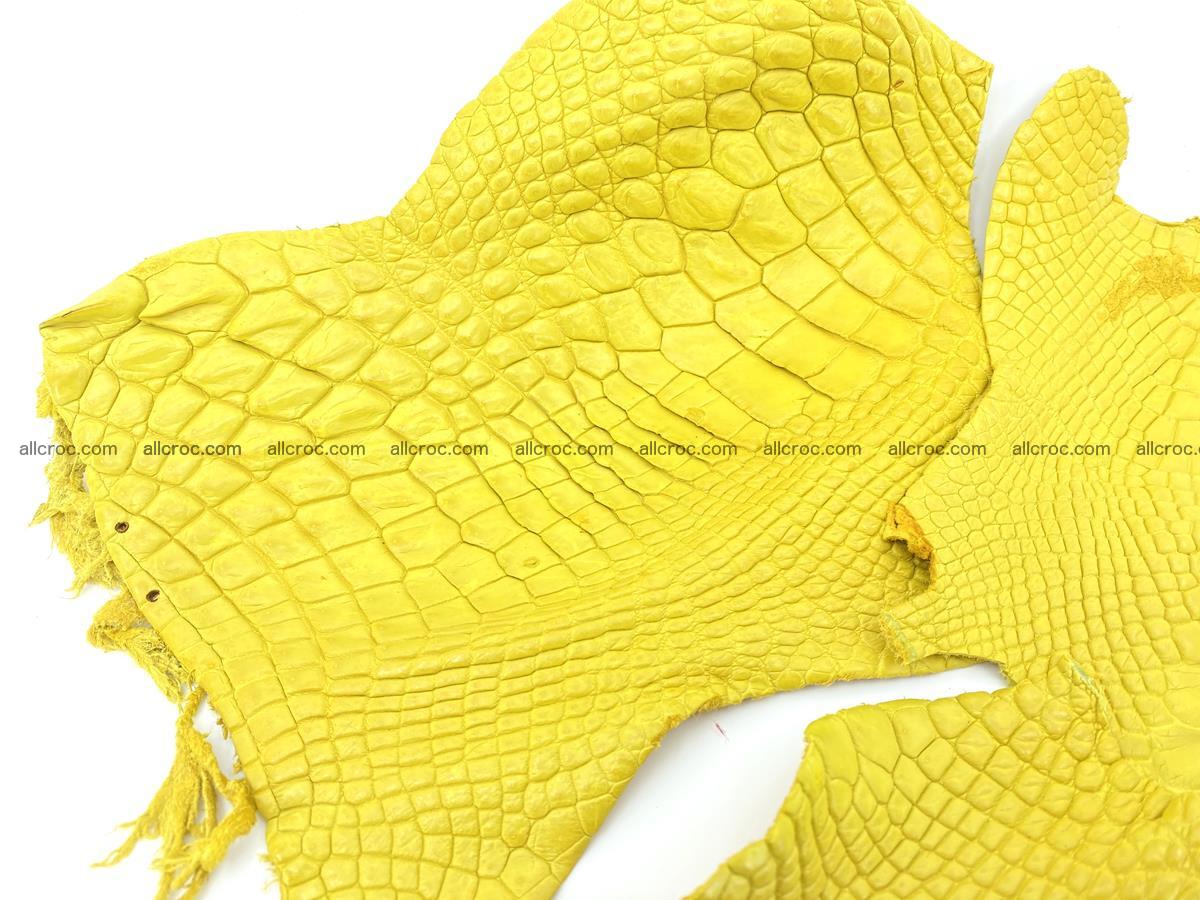 Crocodile leather for handcrafting  826 Foto 1