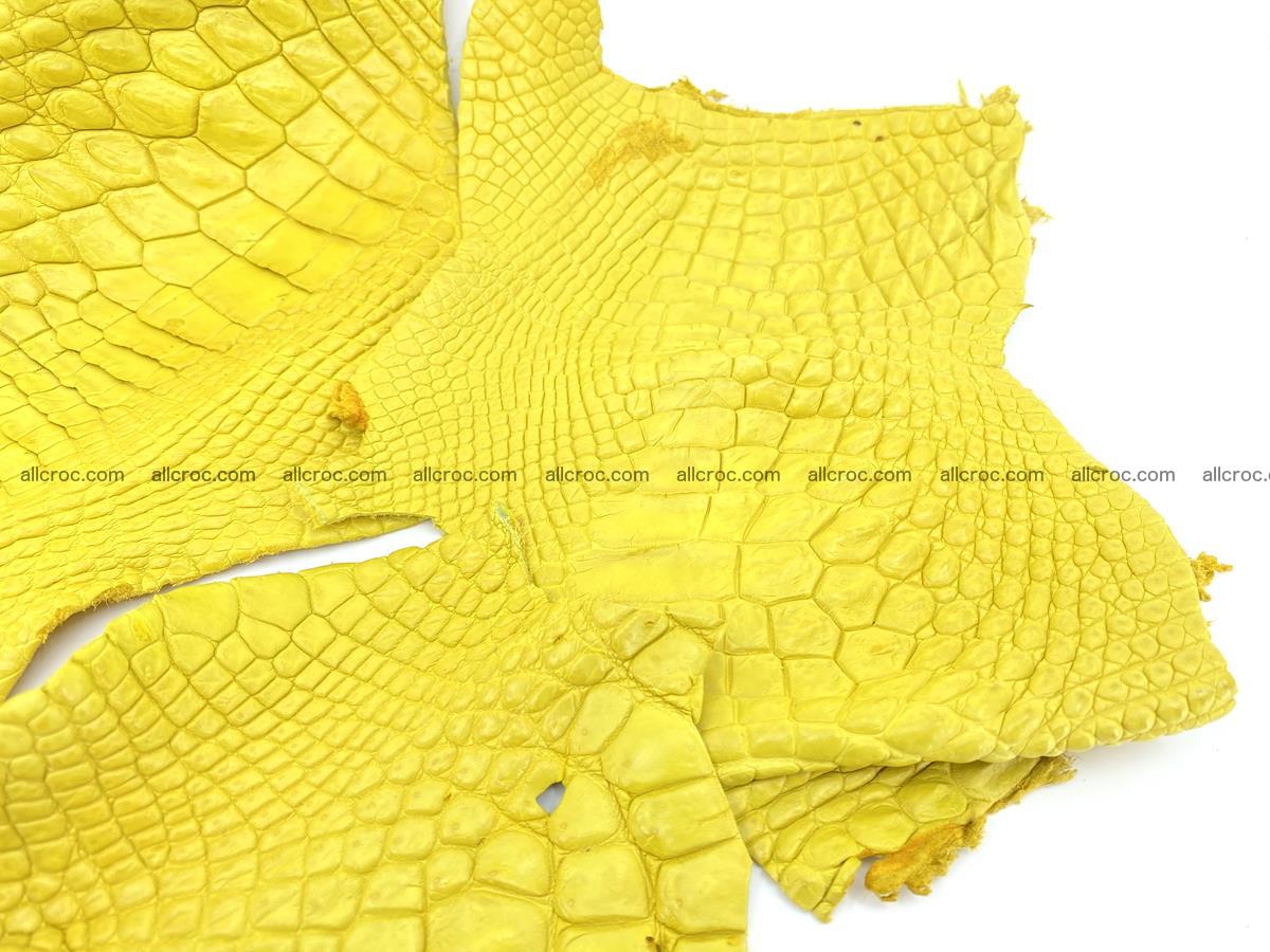 Crocodile leather for handcrafting  826 Foto 3