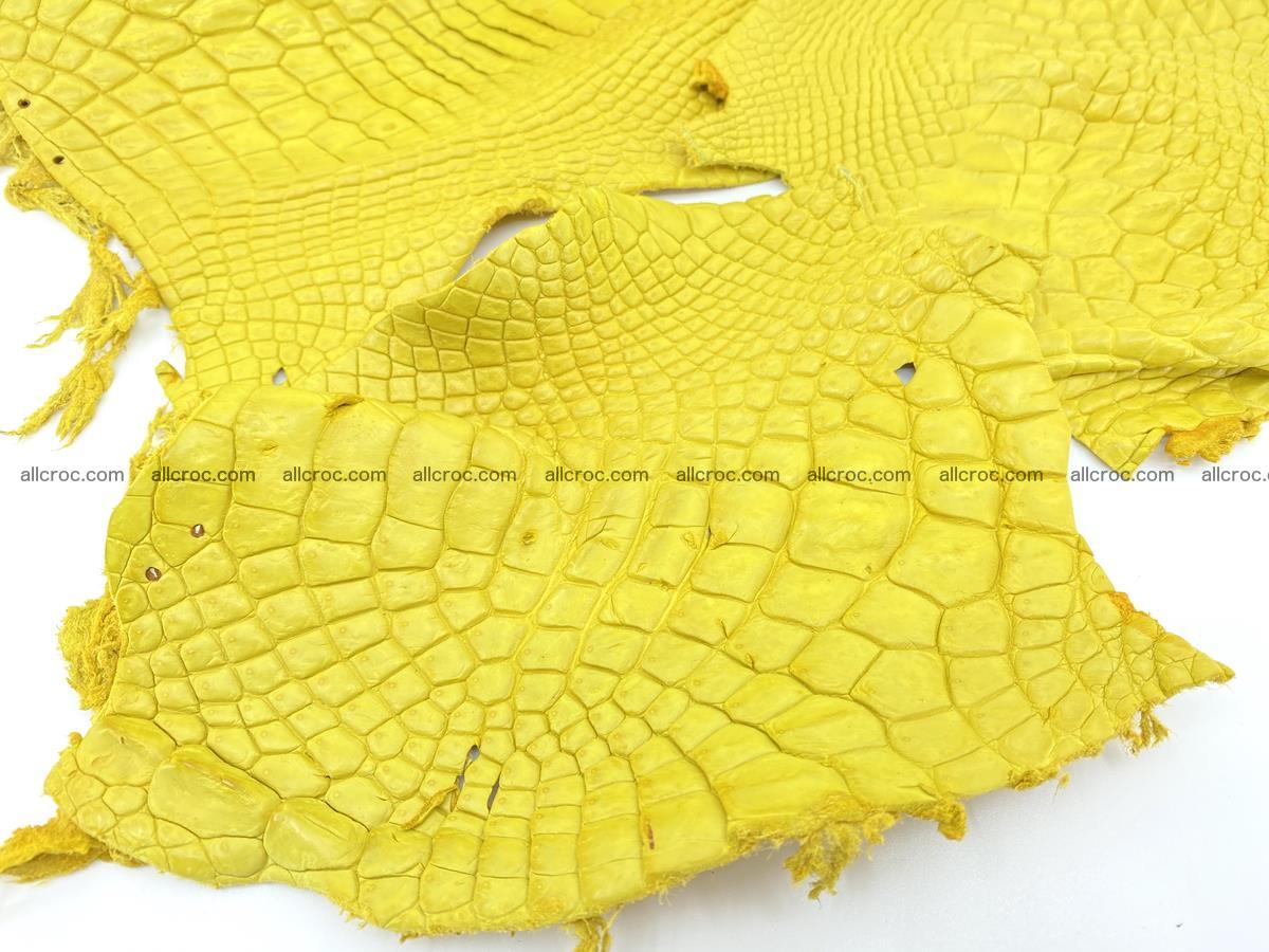 Crocodile leather for handcrafting  826 Foto 2