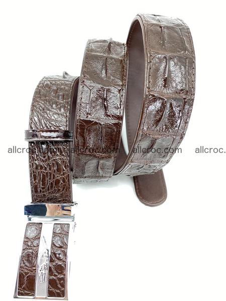 Crocodile leather hornback belt 1115