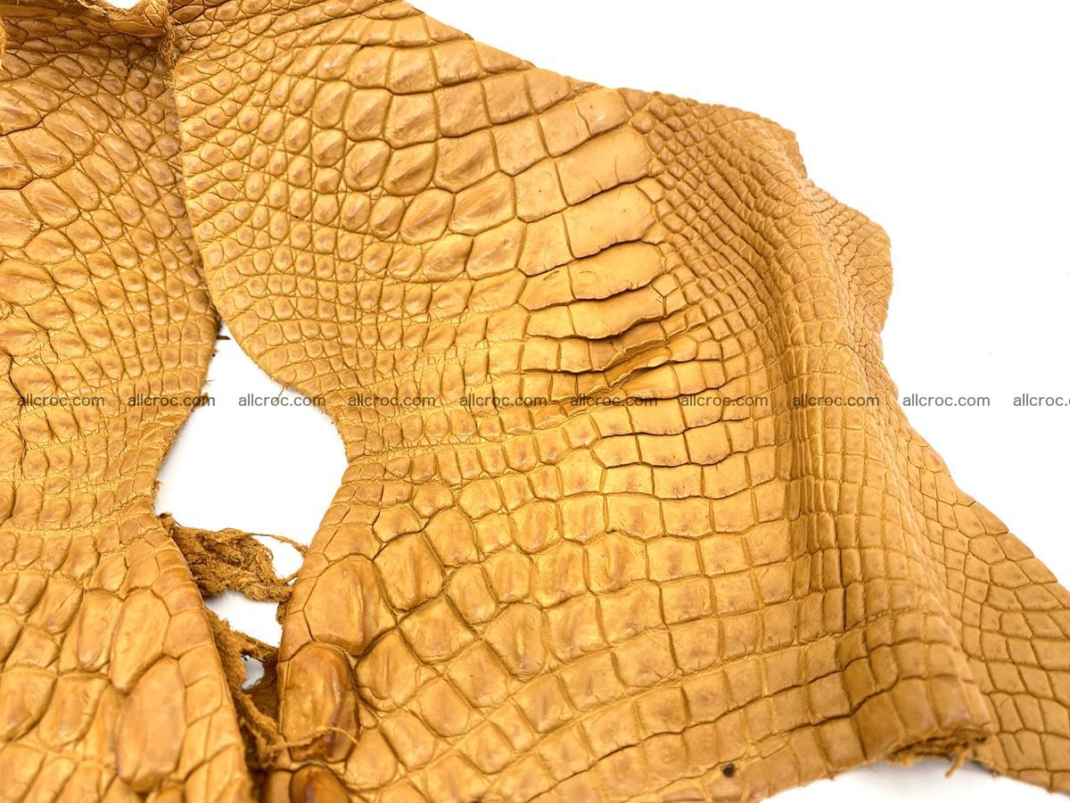 Crocodile leather for handcrafting  840 Foto 2
