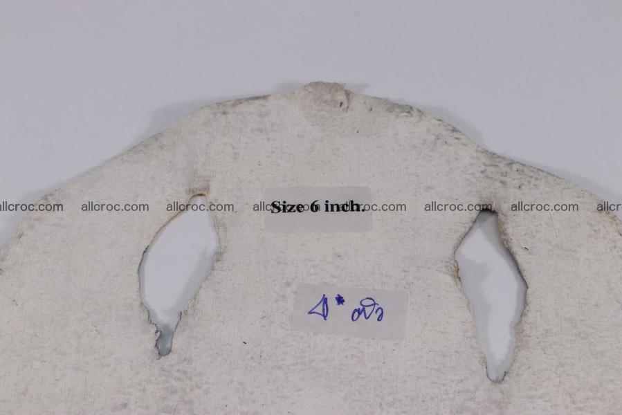 Stingray skin round shape 6 inches 1268