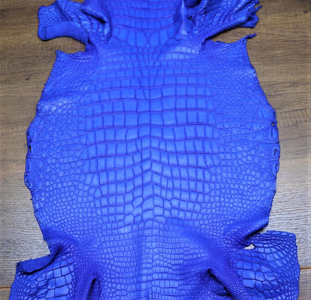 Crocodile skin belly