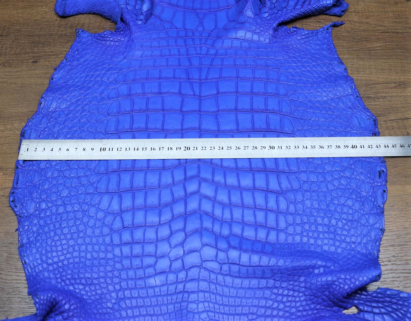 Crocodile skin belly